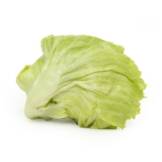 Lettuce - Iceberg